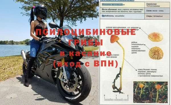 гидра Абинск
