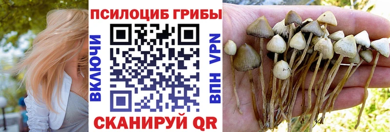 закладка  Ефремов  Галлюциногенные грибы мицелий 