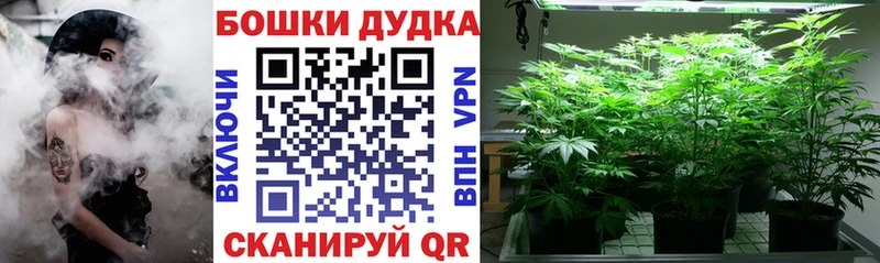 МЕГА tor  Ефремов  Каннабис SATIVA & INDICA  цены  
